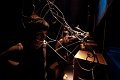 View Equus - De Dijlezonen (Leuven, Wagehuys, 19_01_2012) 074 - Christophe Ketels